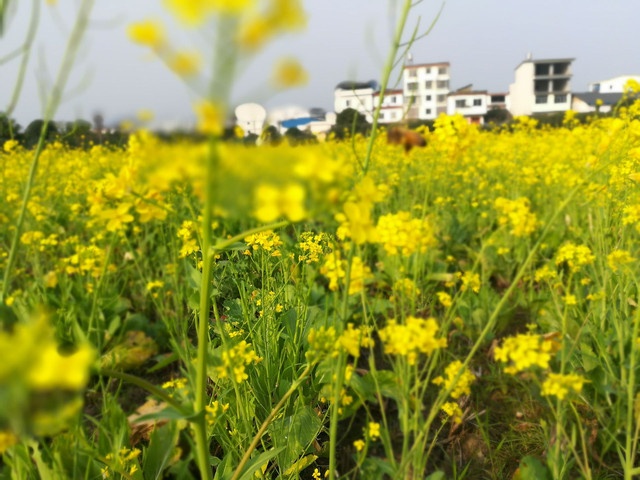 桂林阳朔