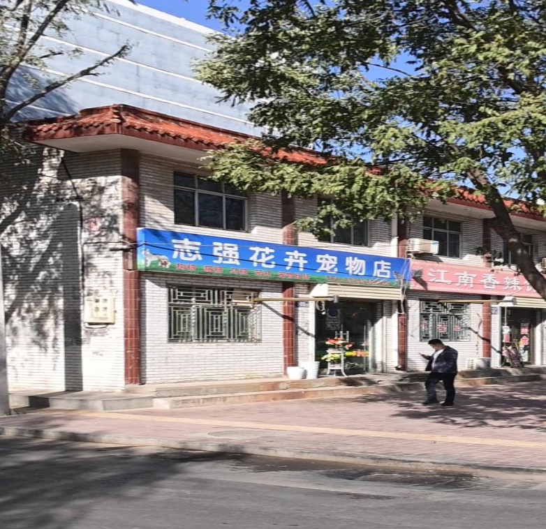 志强花卉宠物店