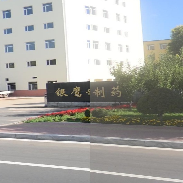 辽源市银鹰制药有限责任公司