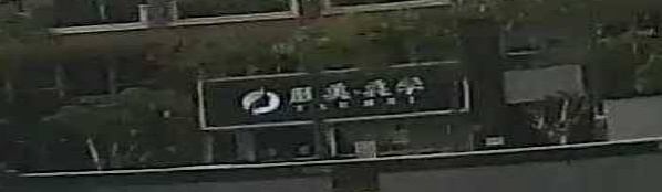 颜美·美学