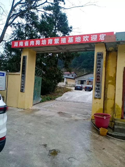 湖南省肉狗培育繁殖基地