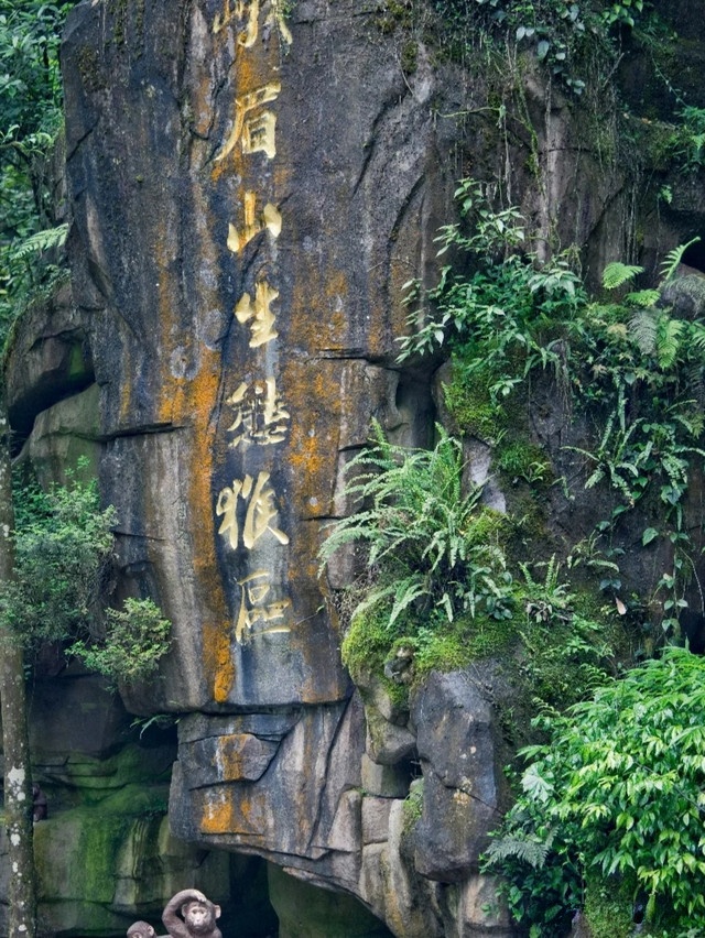五显岗车站-地上停车场