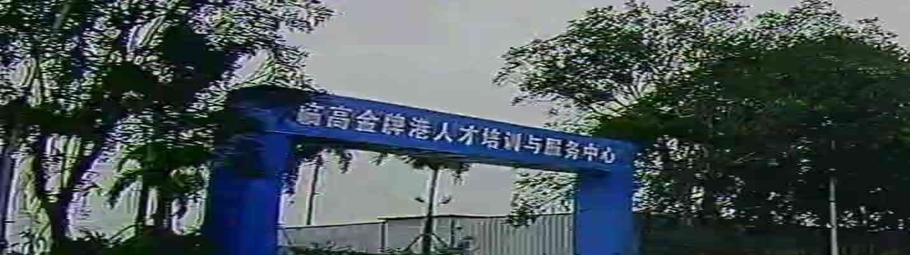 临高金牌港人才培训与服务中心