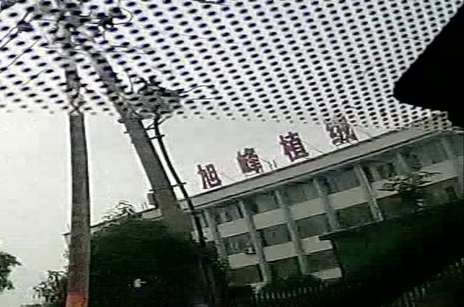 伍风植绒