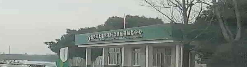 绍兴市上虞区茶叶品牌管理服务中心