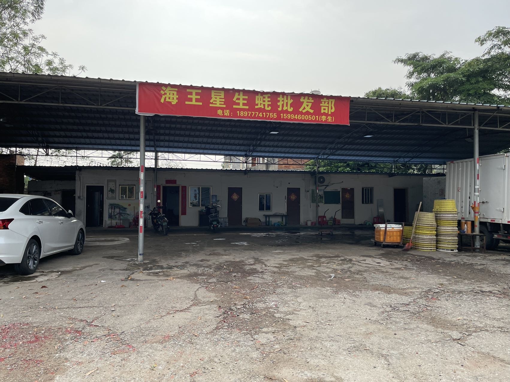 海王星生蚝批发部