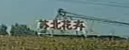 苏北花卉