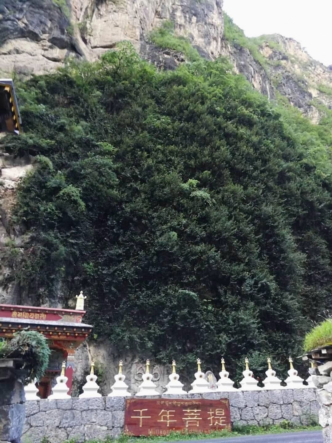 巴拉格宗景区-售票处