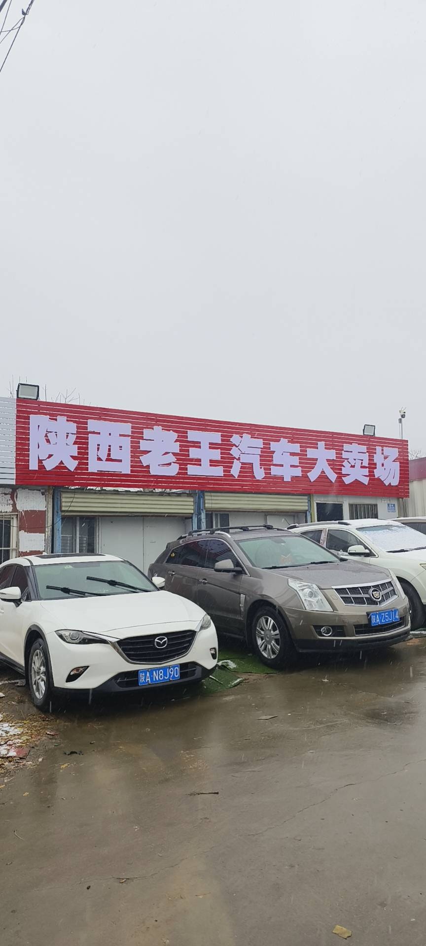 陕西老王汽车咨询处