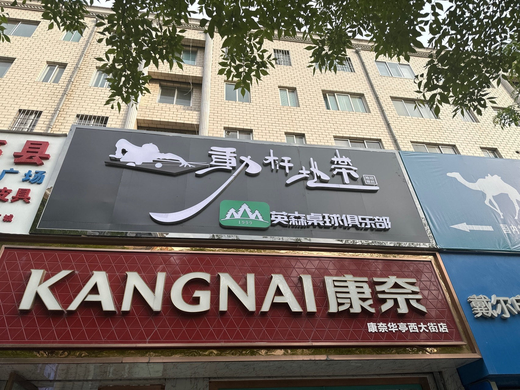 动杆地带英森桌球俱乐部