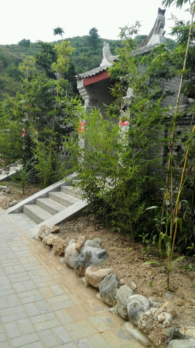 商南县歪歪生态农业生态园。