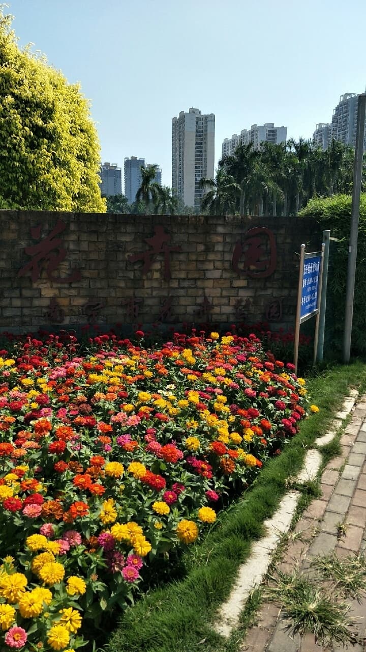 南宁市花卉公园-花卉园