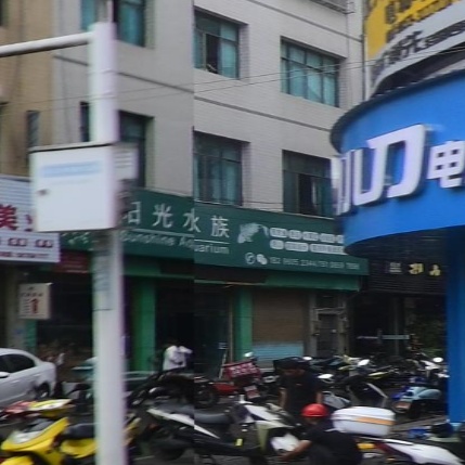阳光水族桔丰路)(育才路店)