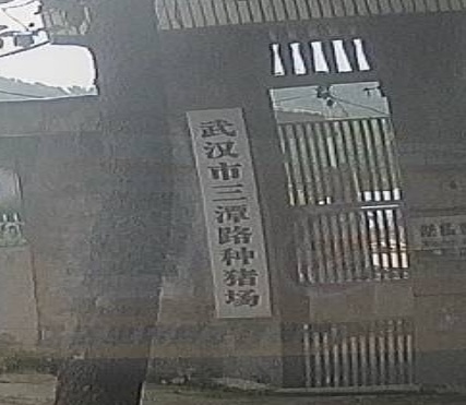 武汉市三潭路种猪场