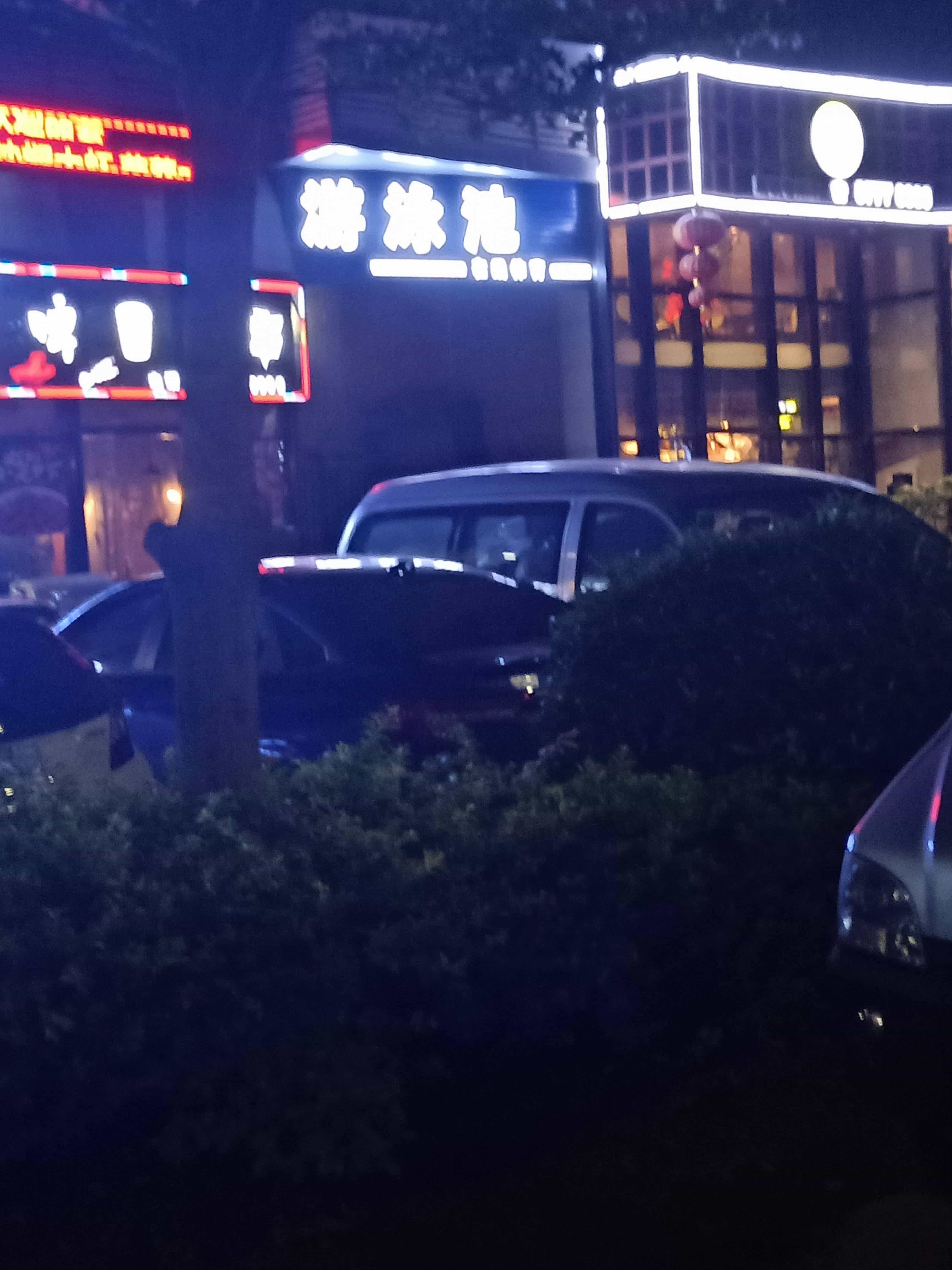 凤雅颂游泳池
