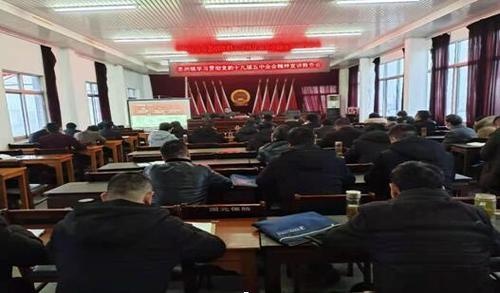 老洲镇人民政府
