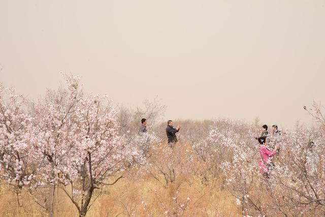 包拉温都蒙古族乡