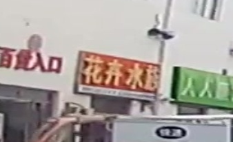 花卉水族(万星市场三店)