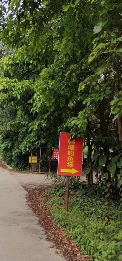 鸭塘钓鱼场
