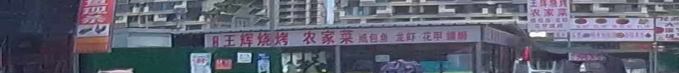 王辉烧烤农家菜