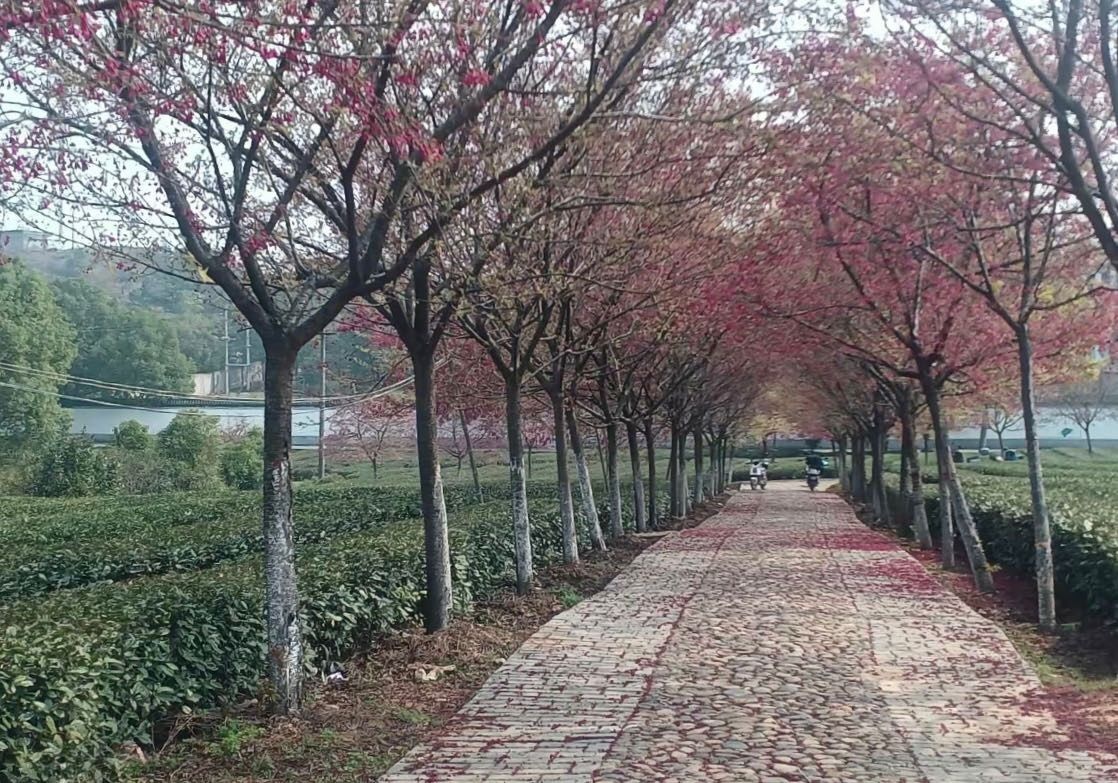 上饶植物园