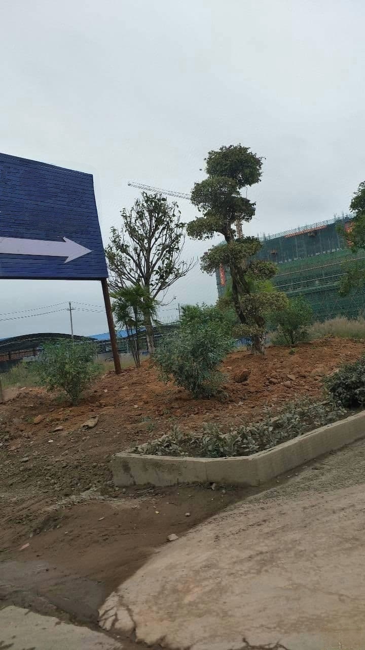 浩诚金水湾公寓