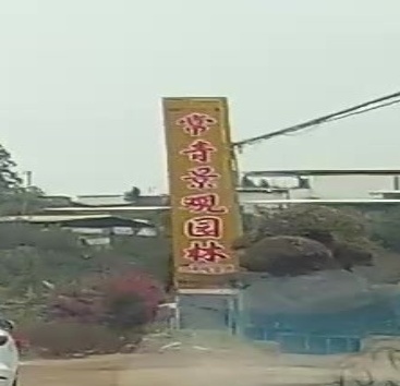 福建省漳州市常青景观园林