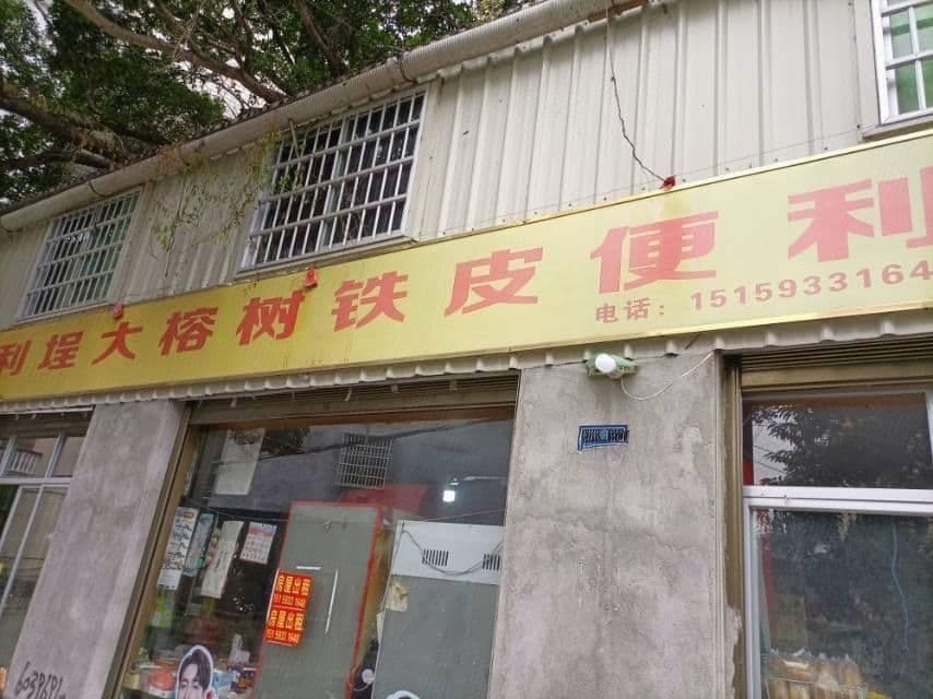 铁黑皮城