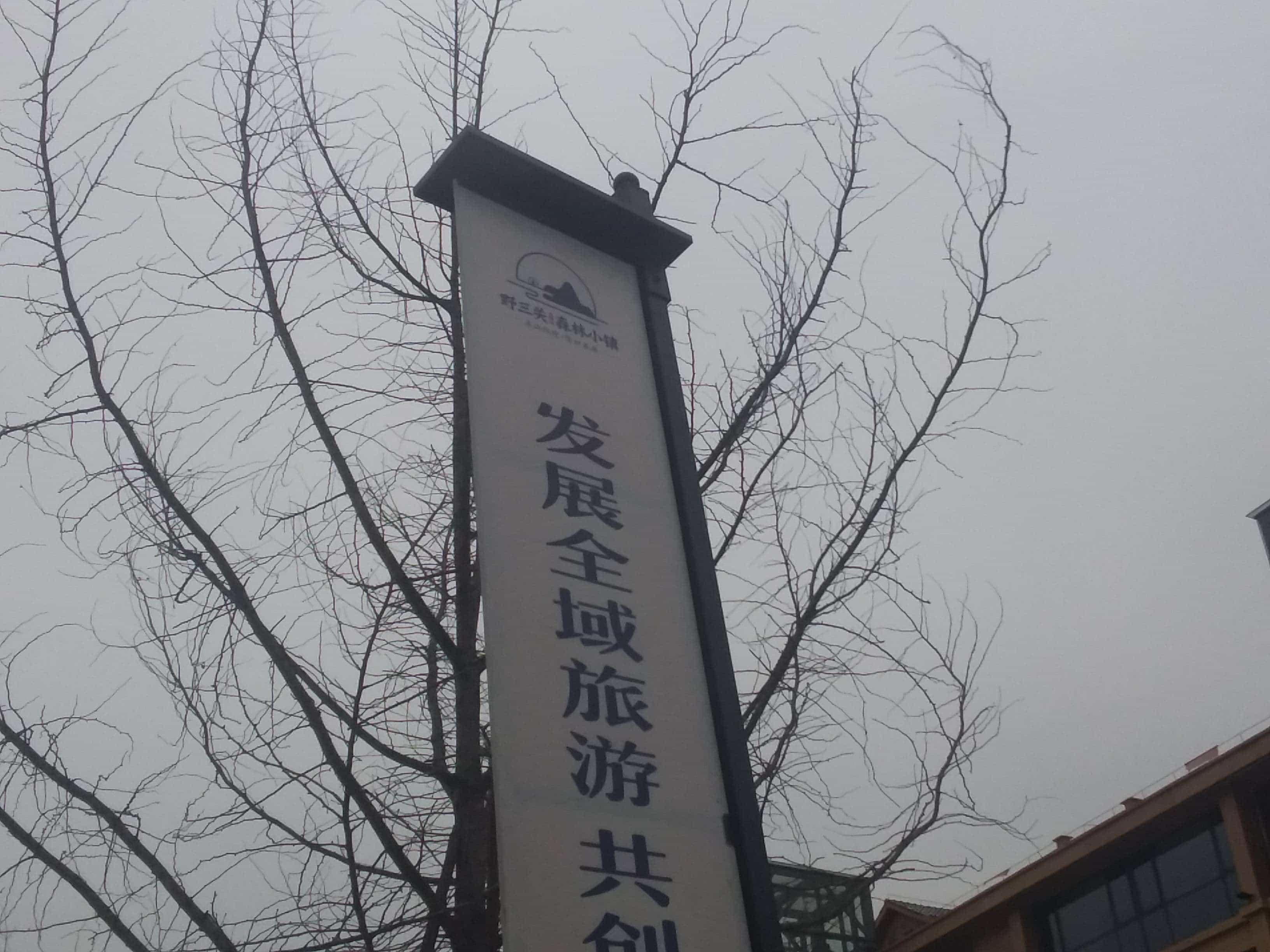 野三关森林小镇