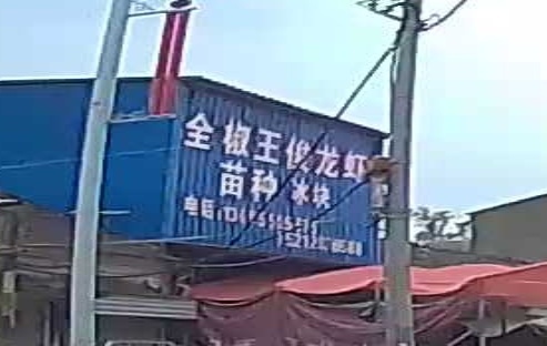 赤镇王俊小龙市场