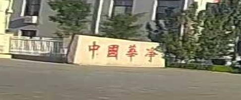 中国华净