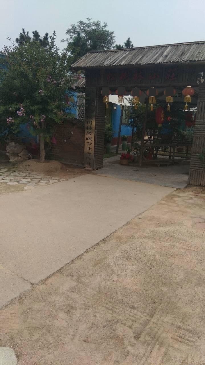 日照松树林山庄