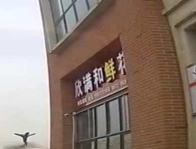 新满和鲜花