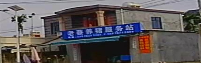 老蔡养猪服务站