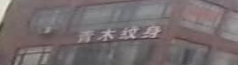 青木纹身