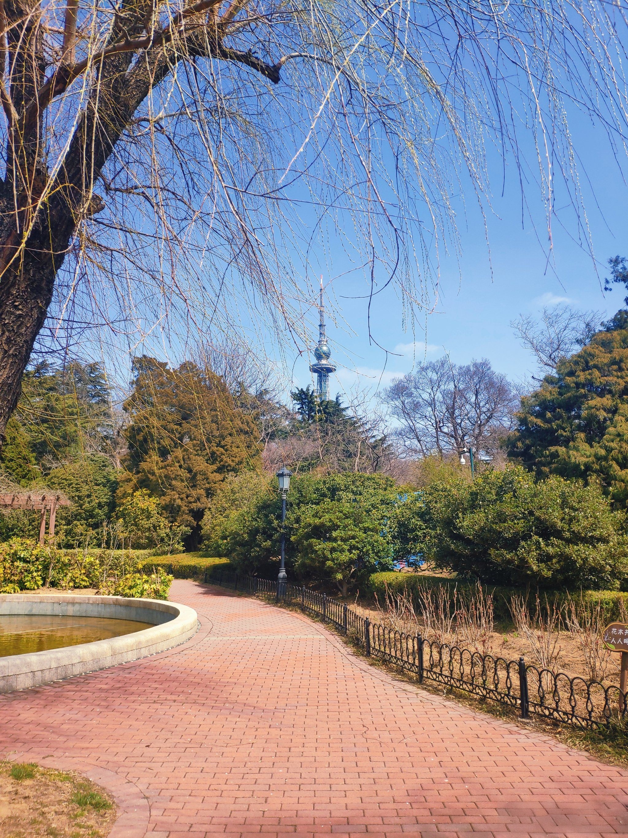 适生植物花园