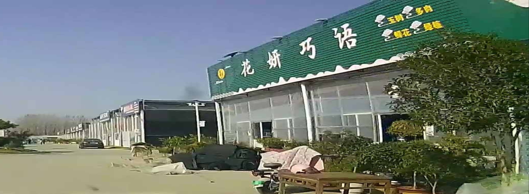 花妍巧语(宿城新区花鸟市场店)