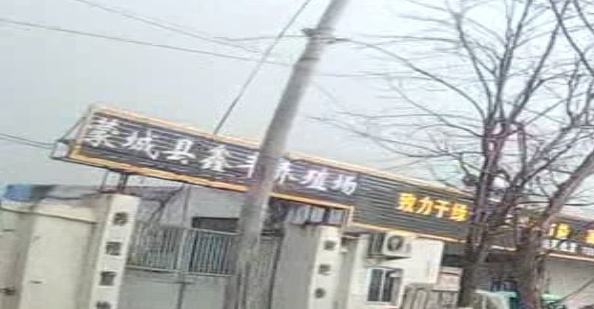 蒙城县鑫丰养殖场