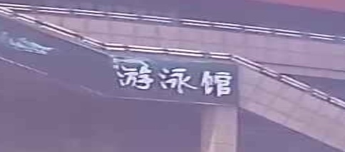 聊城市新文化宫-游泳馆
