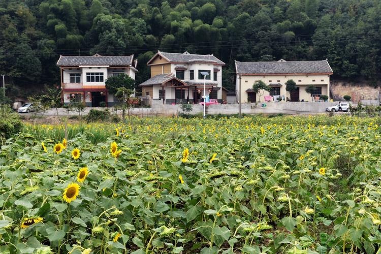 七星村