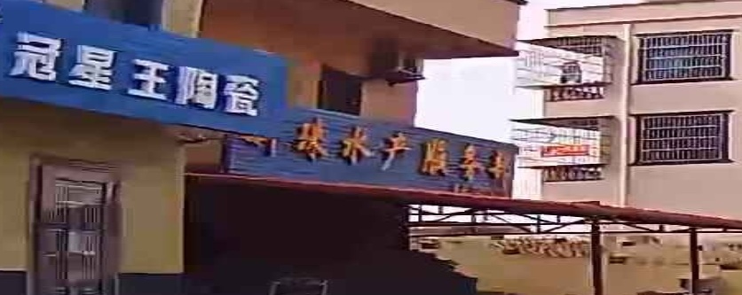 新珠水产服务部
