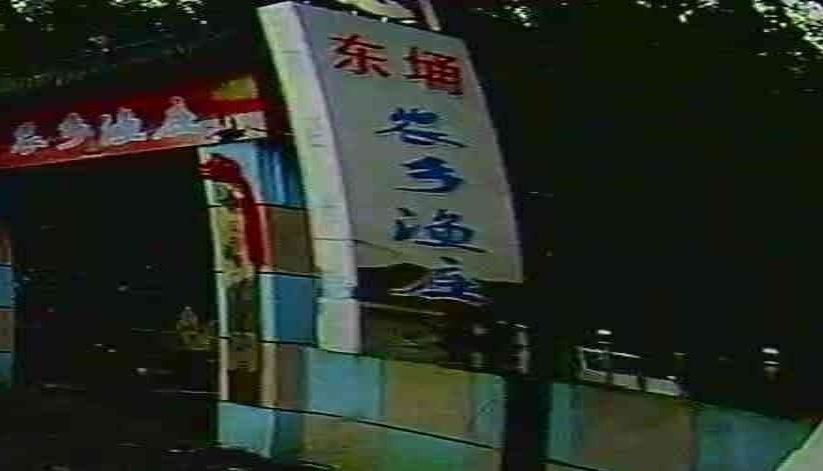 东埇农村渔庄