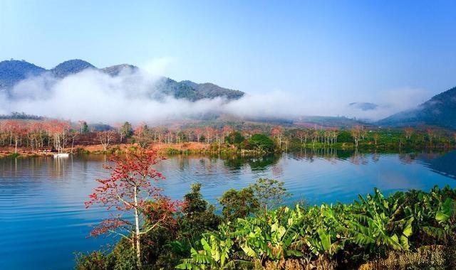 大坡