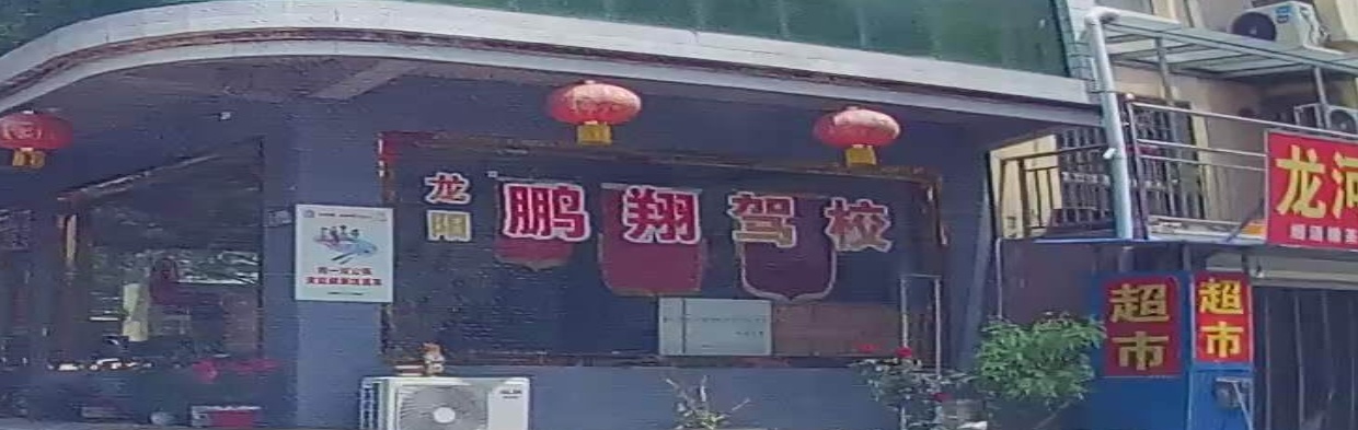 龙阳驾照