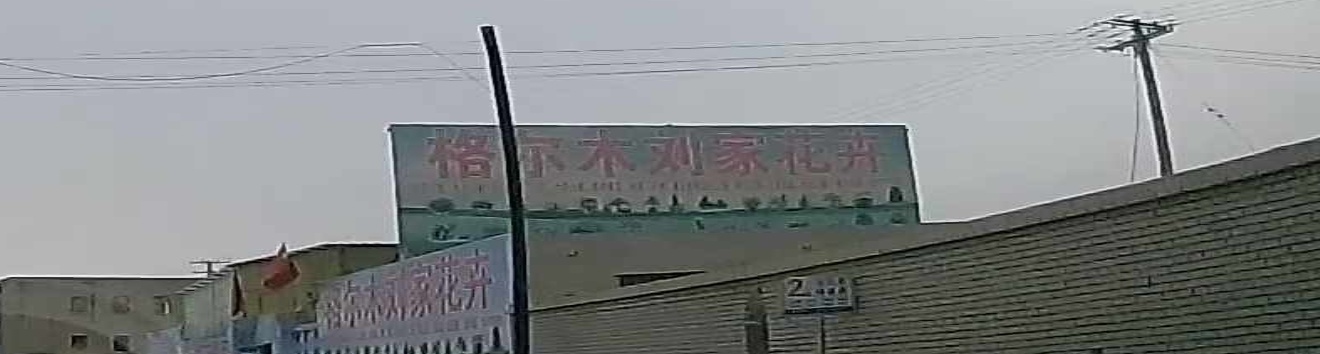 格尔木刘家花卉