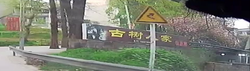 古树人家私房菜