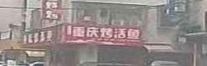 重庆烤活鱼(罗家小区店)