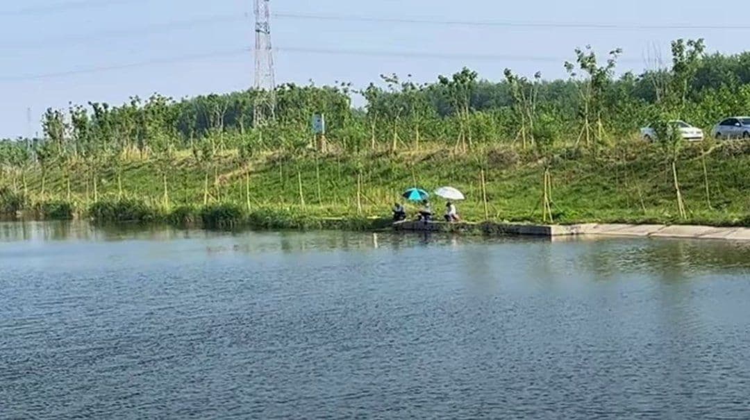 白鹭湾湿地