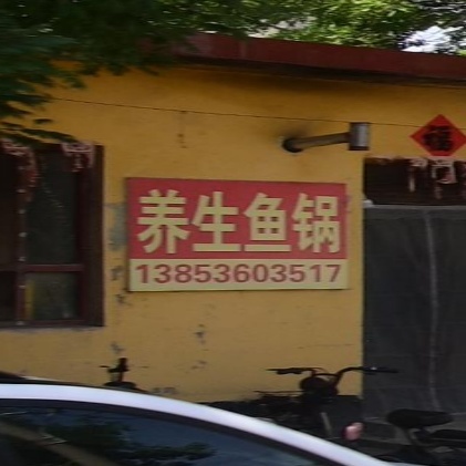 养生鱼锅