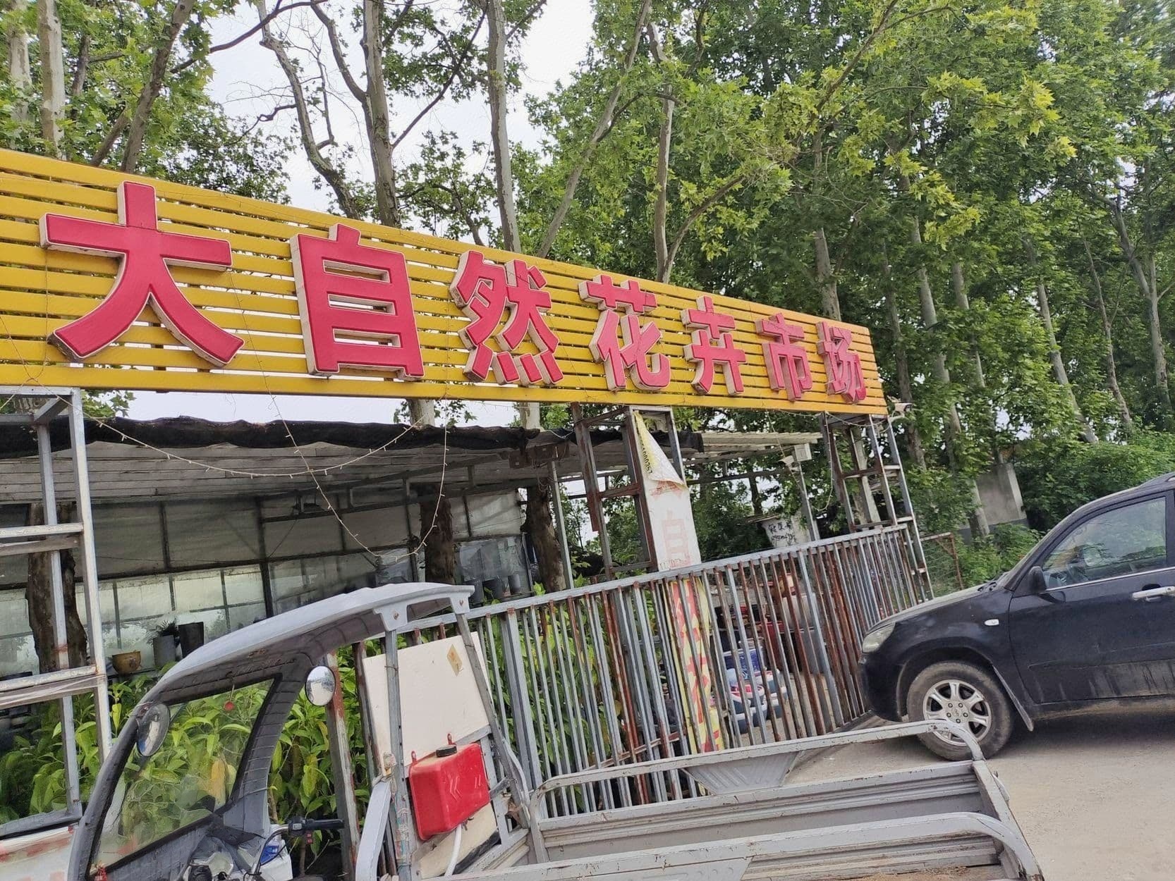 大自然花卉市场